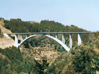 神原渓谷大橋（大分県）