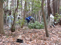 里山づくり活動