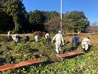 『もおか環境パートナーシップ会議』主催のボランティア活動