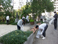 ボランティア活動（当社施工４橋と周辺歩道及び公園の美化）